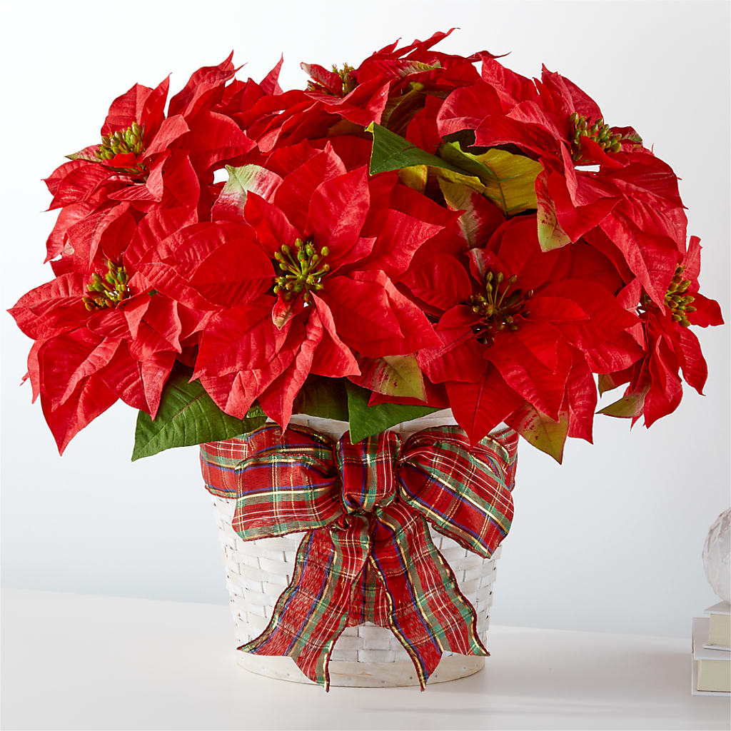 Happiest Holidays Poinsettia – HYDE PARK FLORIST & GIFTS, Hyde Park NY