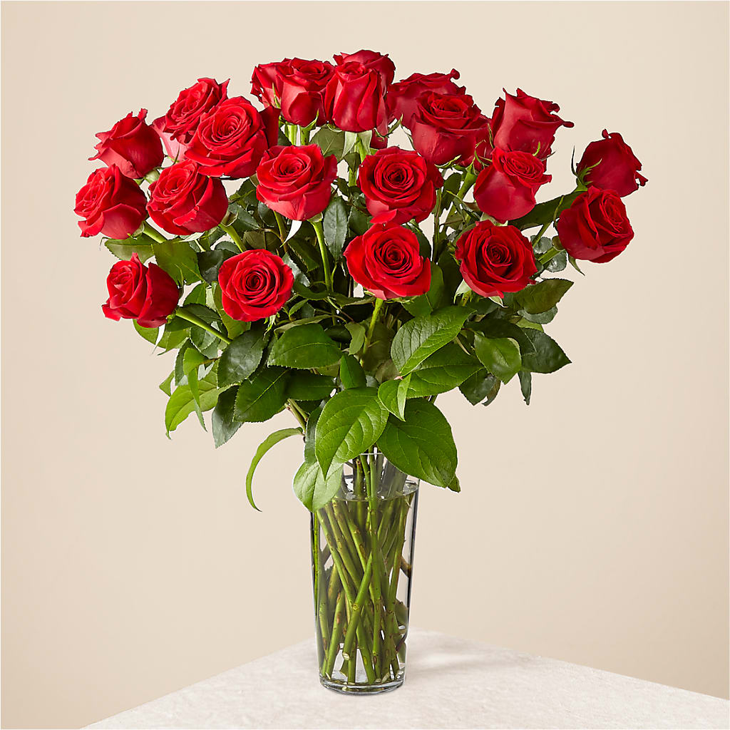 Long Stem Red Rose Bouquet – HYDE PARK FLORIST & GIFTS, Hyde Park NY