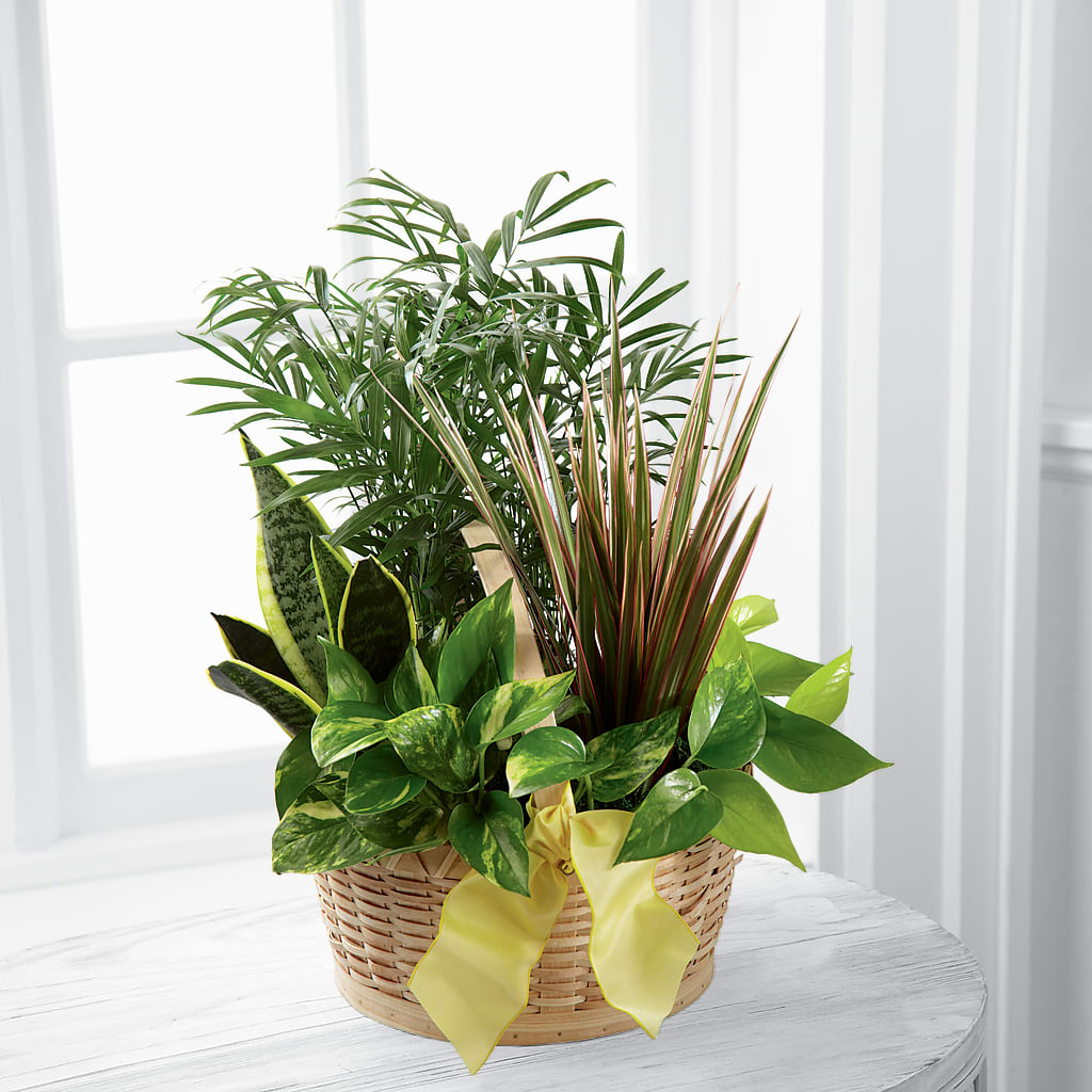 French Garden – HYDE PARK FLORIST & GIFTS, Hyde Park NY