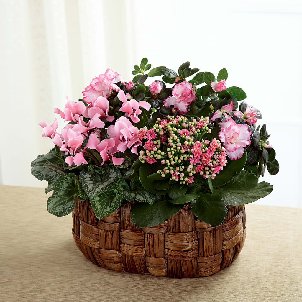 Pink Assortment – HYDE PARK FLORIST & GIFTS, Hyde Park NY