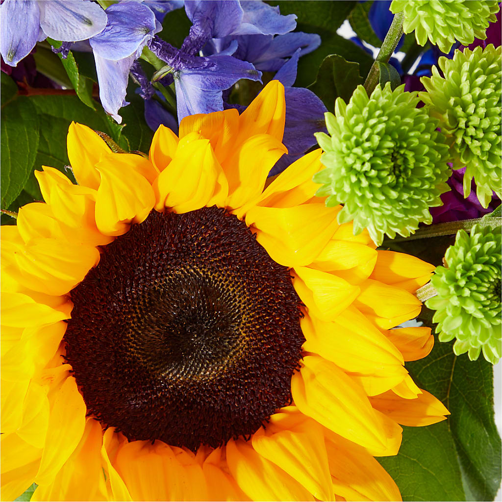 Catching Rays Bouquet – HYDE PARK FLORIST & GIFTS, Hyde Park NY