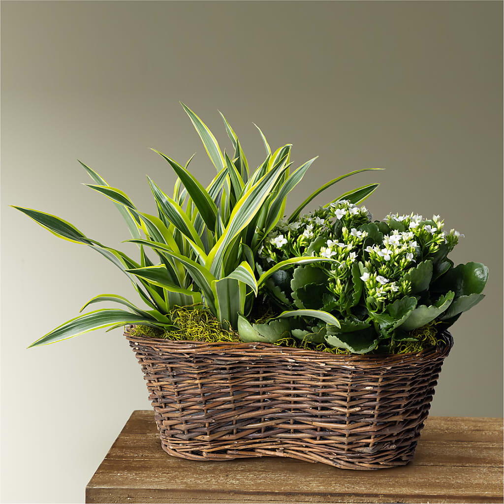 Blooming Garden – HYDE PARK FLORIST & GIFTS, Hyde Park NY