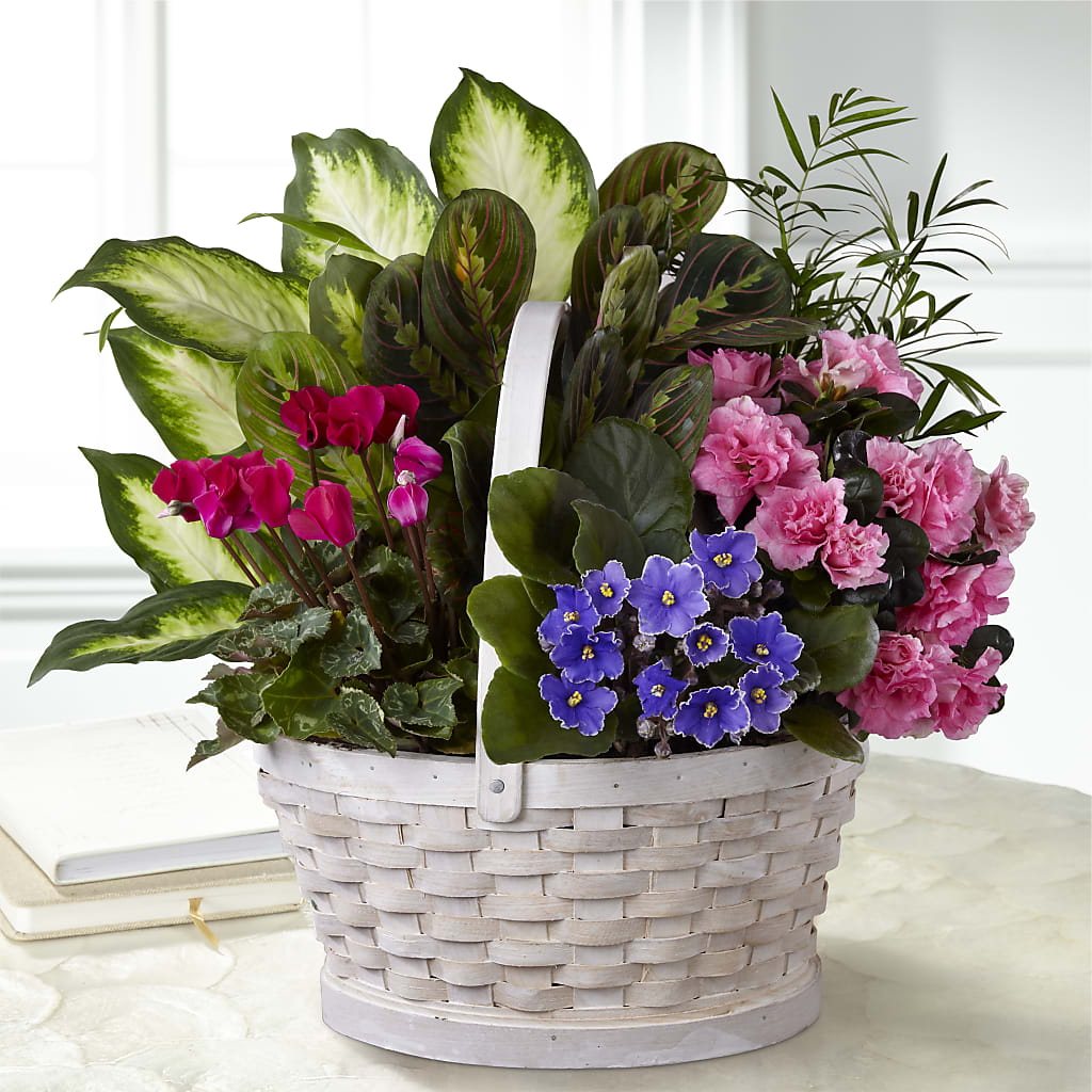 Peaceful Garden Planter – HYDE PARK FLORIST & GIFTS, Hyde Park NY