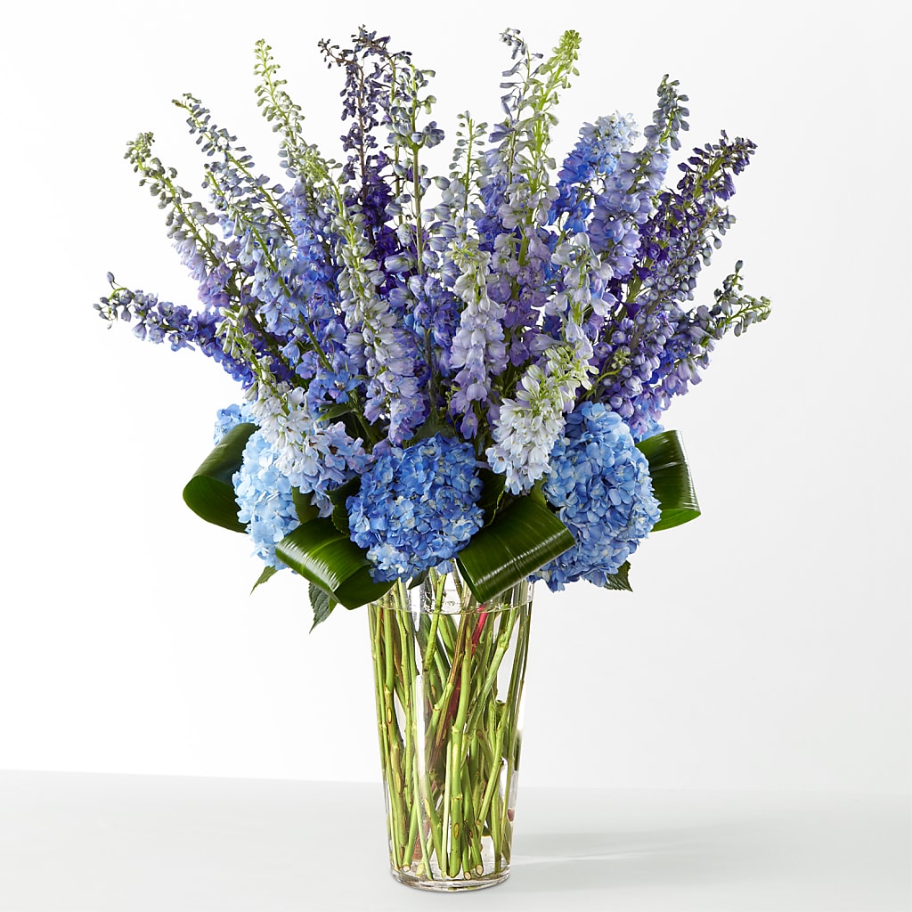 The Editorial – HYDE PARK FLORIST & GIFTS, Hyde Park NY