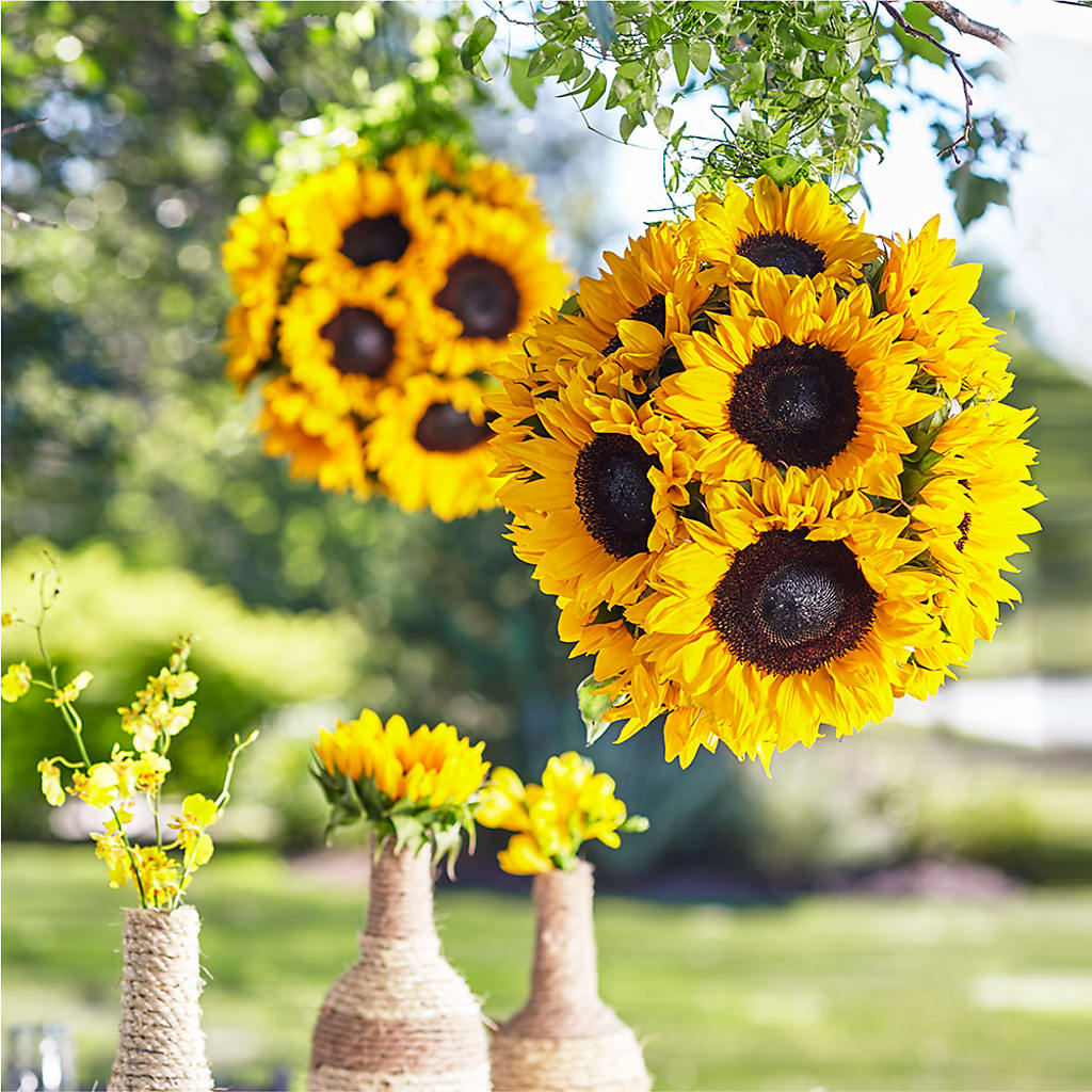 Sublime Garden Hanging Arrangement – HYDE PARK FLORIST & GIFTS, Hyde Park NY