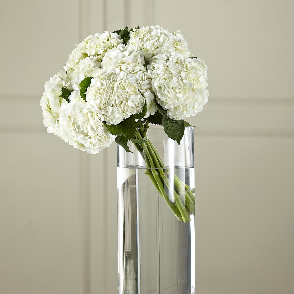 White Hydrangea Hand-Tied Bouquet – HYDE PARK FLORIST & GIFTS, Hyde Park NY