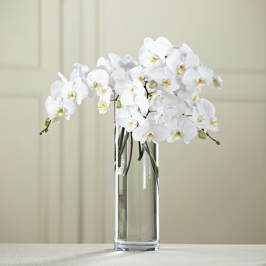 White Phalaenopsis Bouquet – HYDE PARK FLORIST & GIFTS, Hyde Park NY