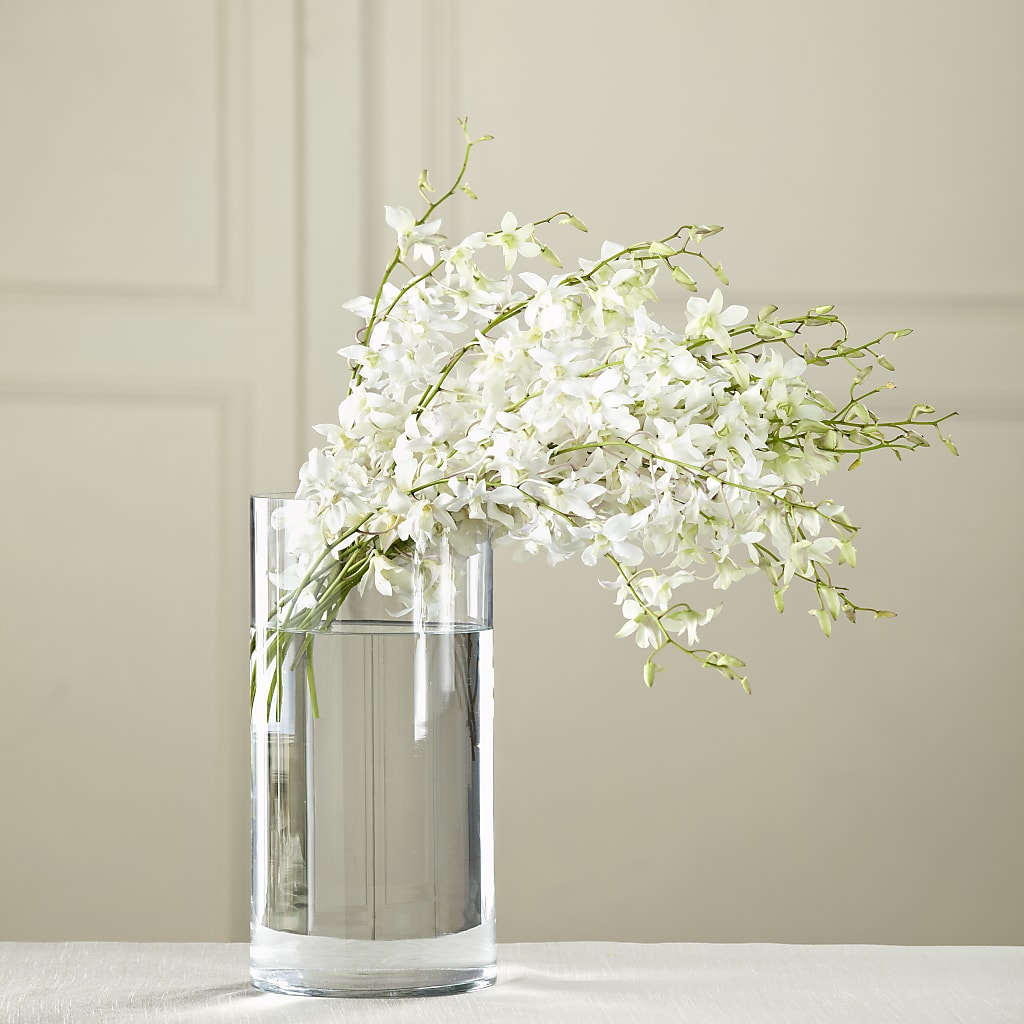 White Dendrobium Bouquet – HYDE PARK FLORIST & GIFTS, Hyde Park NY