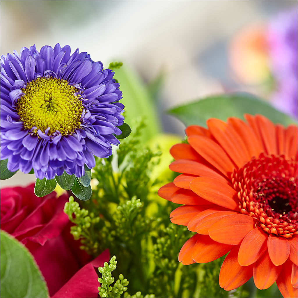 Bold & Bright – A Florist Original – HYDE PARK FLORIST & GIFTS, Hyde Park NY