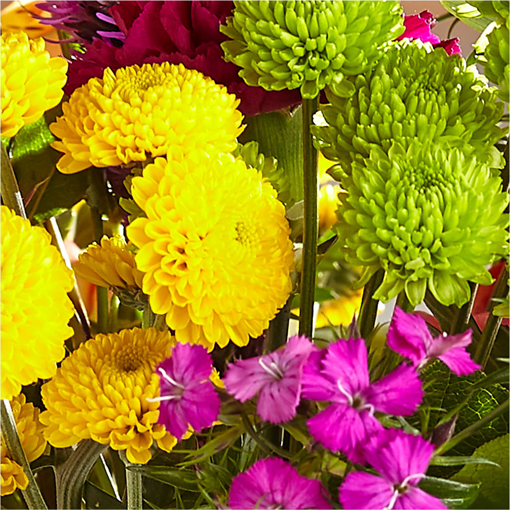 Bold & Bright – A Florist Original – HYDE PARK FLORIST & GIFTS, Hyde Park NY