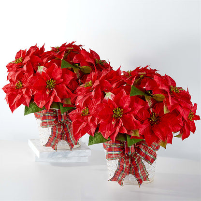 Happiest Holidays Poinsettia Bundle – HYDE PARK FLORIST & GIFTS, Hyde Park NY