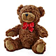 Adorable Plush Bear – HYDE PARK FLORIST & GIFTS, Hyde Park NY