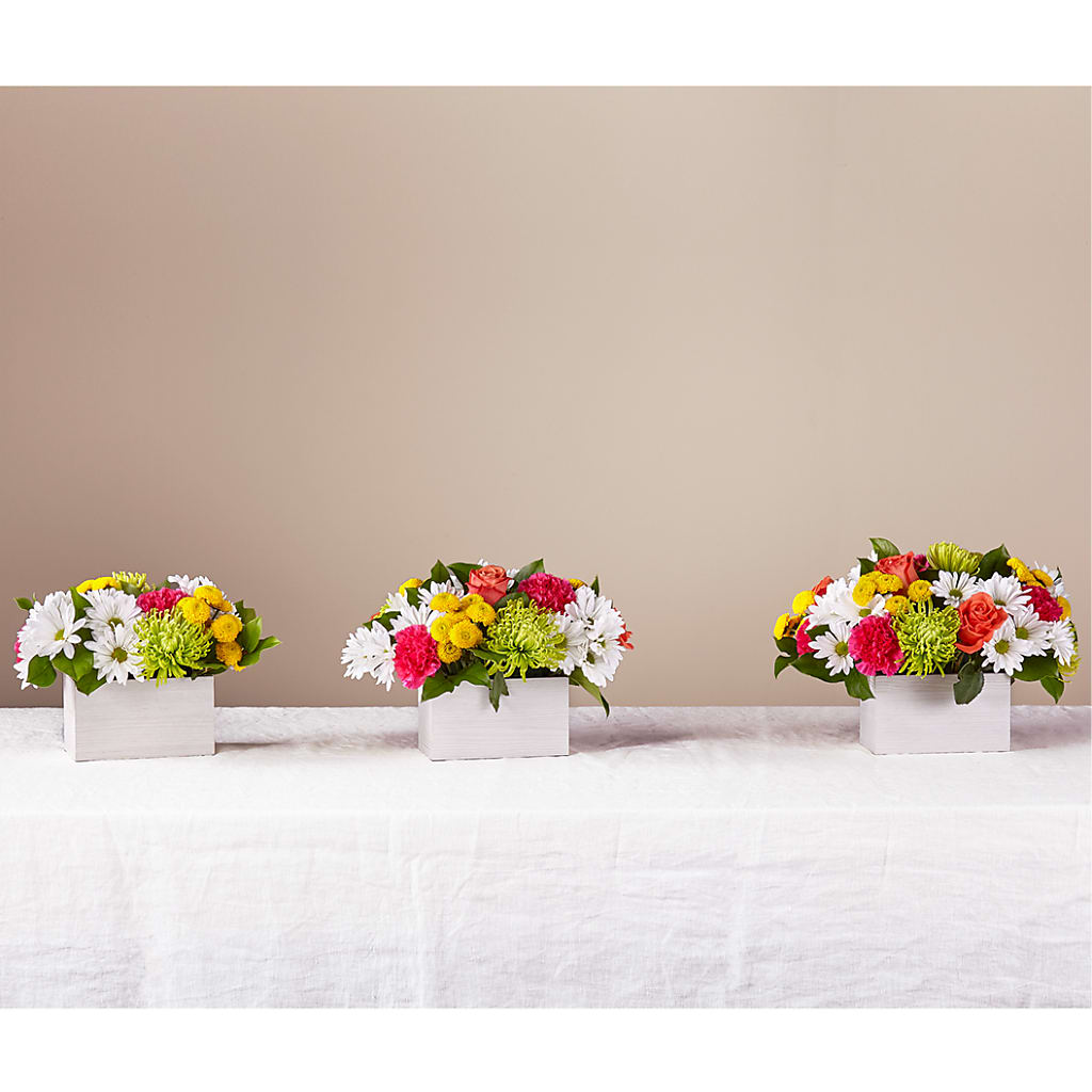 Sorbet Bouquet – HYDE PARK FLORIST & GIFTS, Hyde Park NY