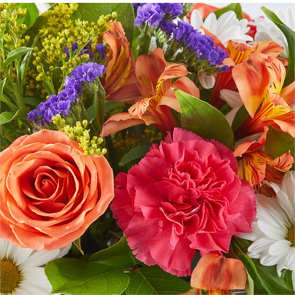 Oopsie Daisy Box Bouquet – HYDE PARK FLORIST & GIFTS, Hyde Park NY