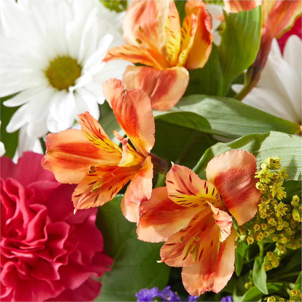 Oopsie Daisy Box Bouquet – HYDE PARK FLORIST & GIFTS, Hyde Park NY