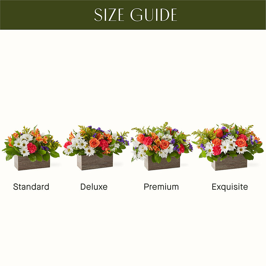 Oopsie Daisy Box Bouquet – HYDE PARK FLORIST & GIFTS, Hyde Park NY
