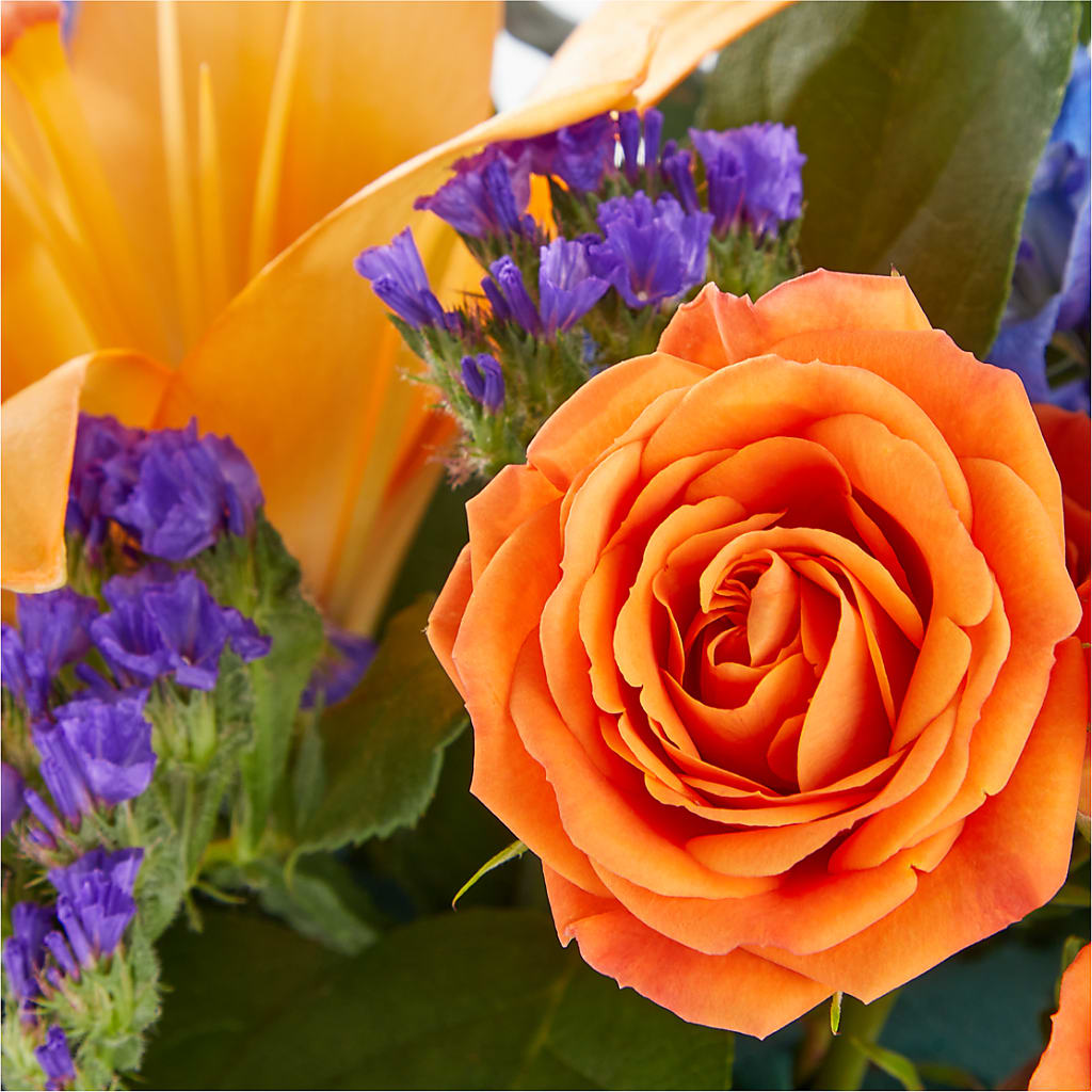 Radiant Citrus Box Bouquet – HYDE PARK FLORIST & GIFTS, Hyde Park NY