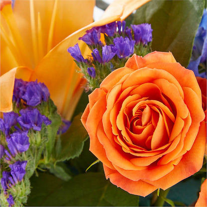 Radiant Citrus Box Bouquet – HYDE PARK FLORIST & GIFTS, Hyde Park NY