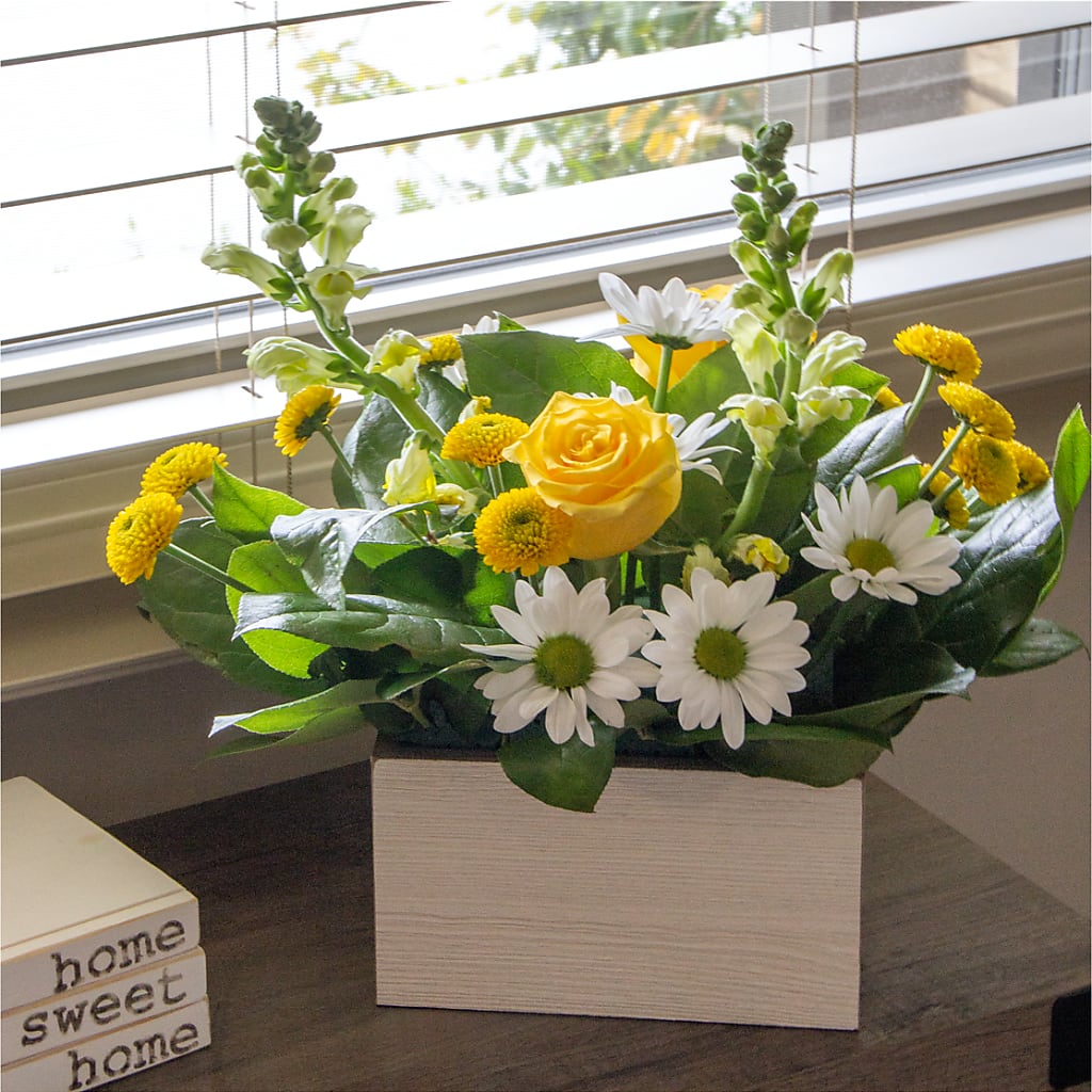 Sun Salutation Box Bouquet – HYDE PARK FLORIST & GIFTS, Hyde Park NY