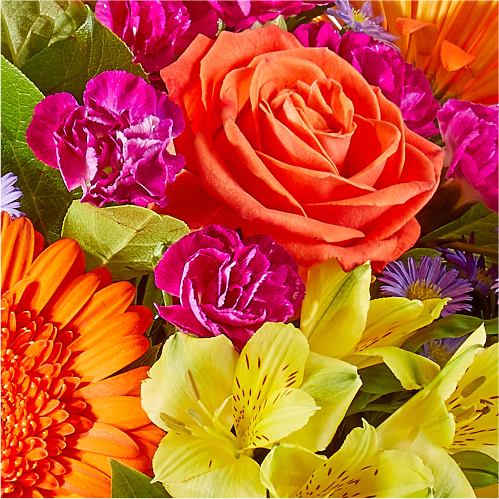 Tricks & Treats Pumpkin – HYDE PARK FLORIST & GIFTS, Hyde Park NY