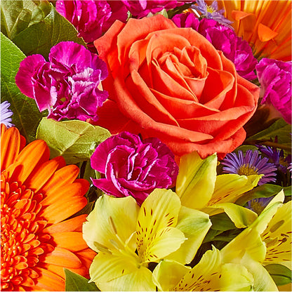 Tricks & Treats Pumpkin – HYDE PARK FLORIST & GIFTS, Hyde Park NY