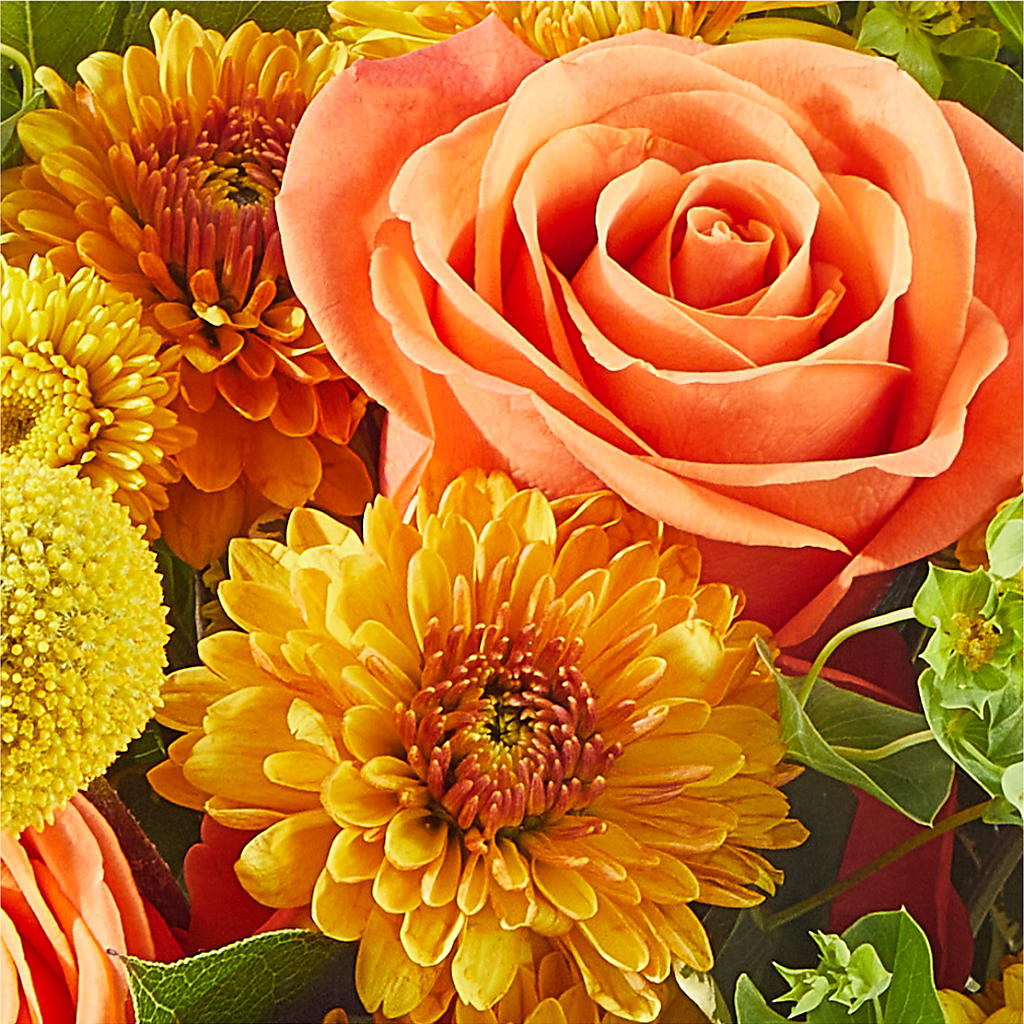 Gourdgeous Pumpkin – HYDE PARK FLORIST & GIFTS, Hyde Park NY