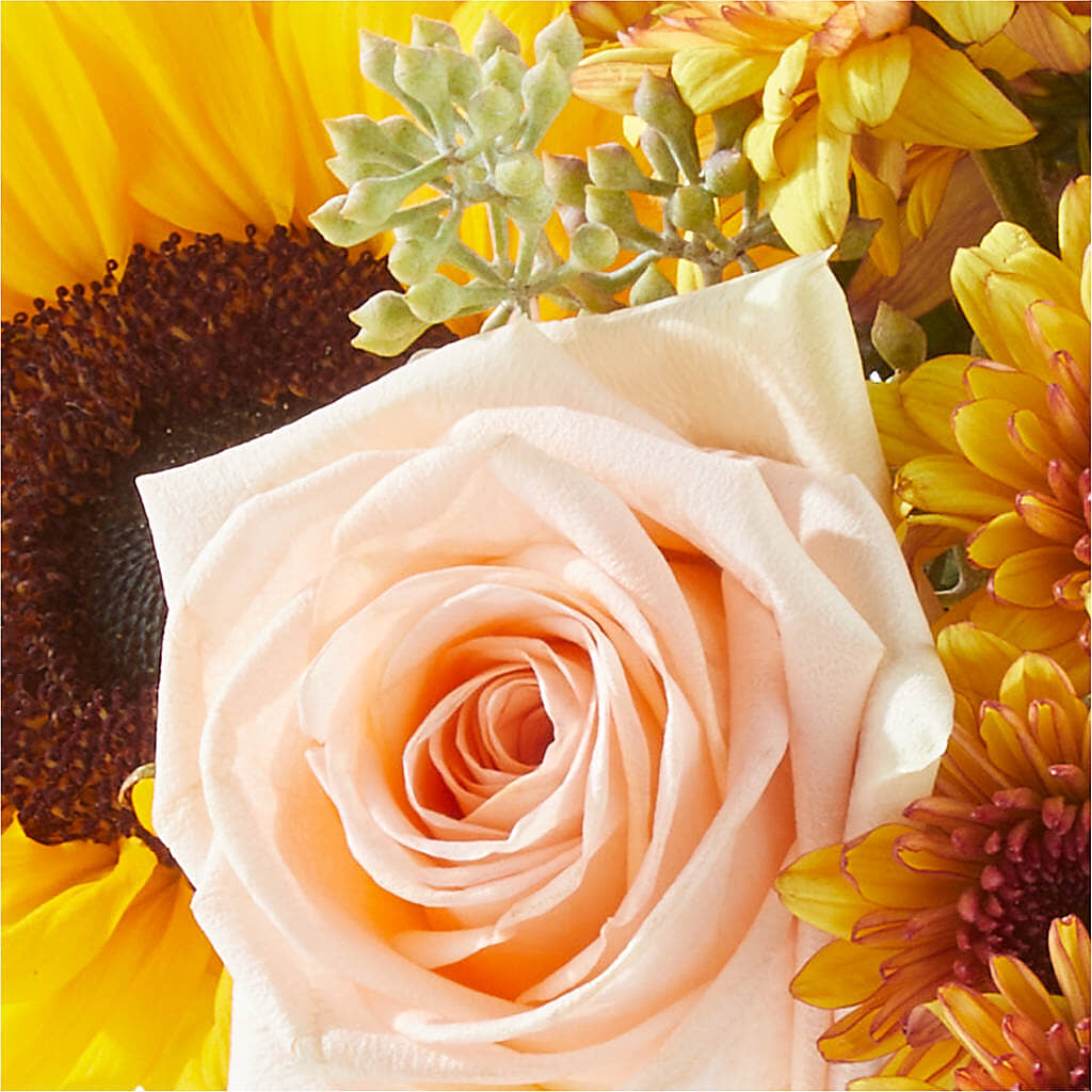 Pumpkin to Talk About Bouquet – HYDE PARK FLORIST & GIFTS, Hyde Park NY