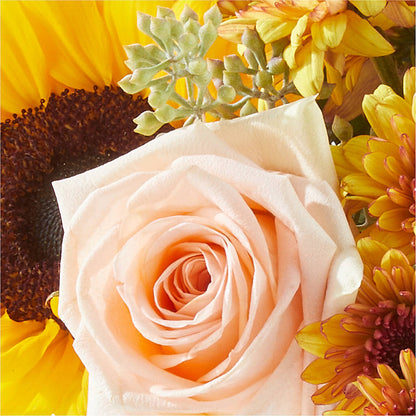 Pumpkin to Talk About Bouquet – HYDE PARK FLORIST & GIFTS, Hyde Park NY