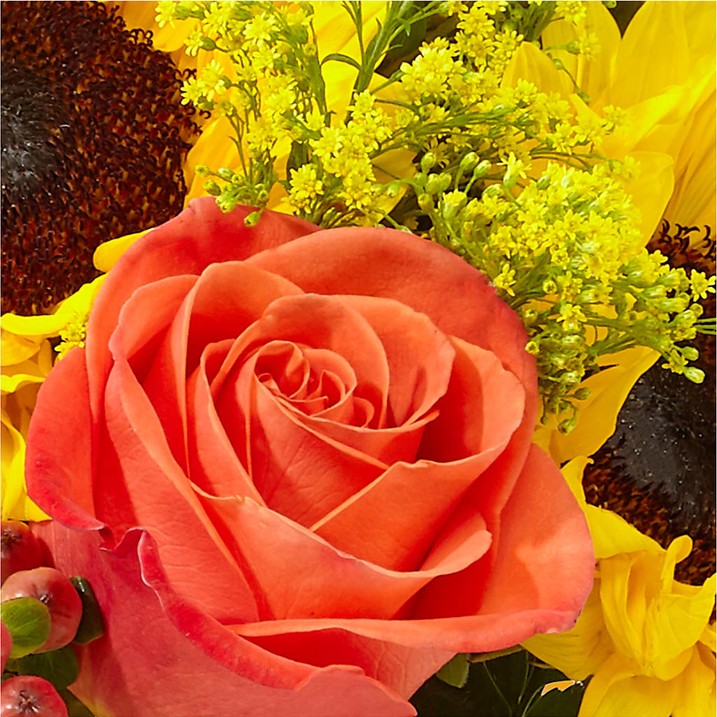 Pick of the Patch Pumpkin Bouquet – HYDE PARK FLORIST & GIFTS, Hyde Park NY