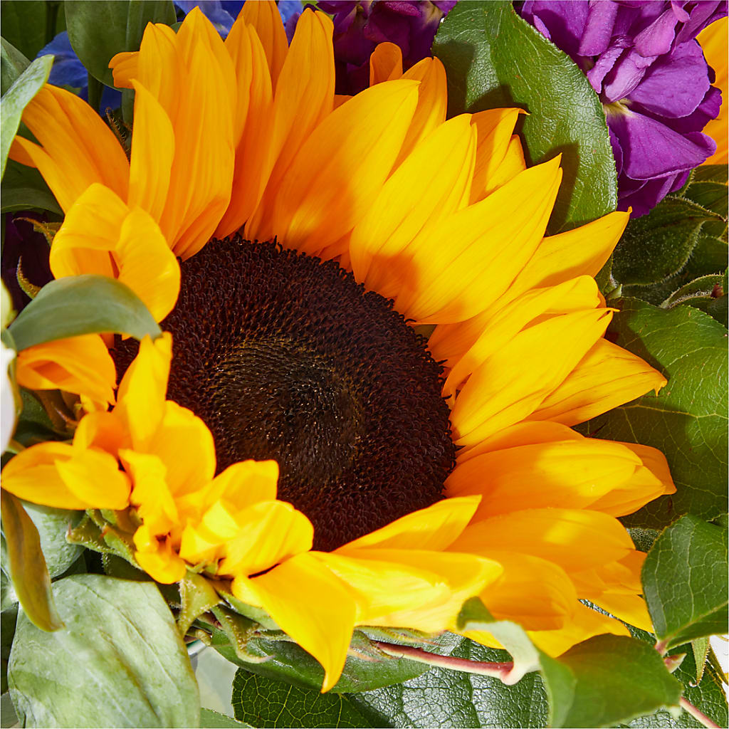 Catching Rays Bouquet – HYDE PARK FLORIST & GIFTS, Hyde Park NY