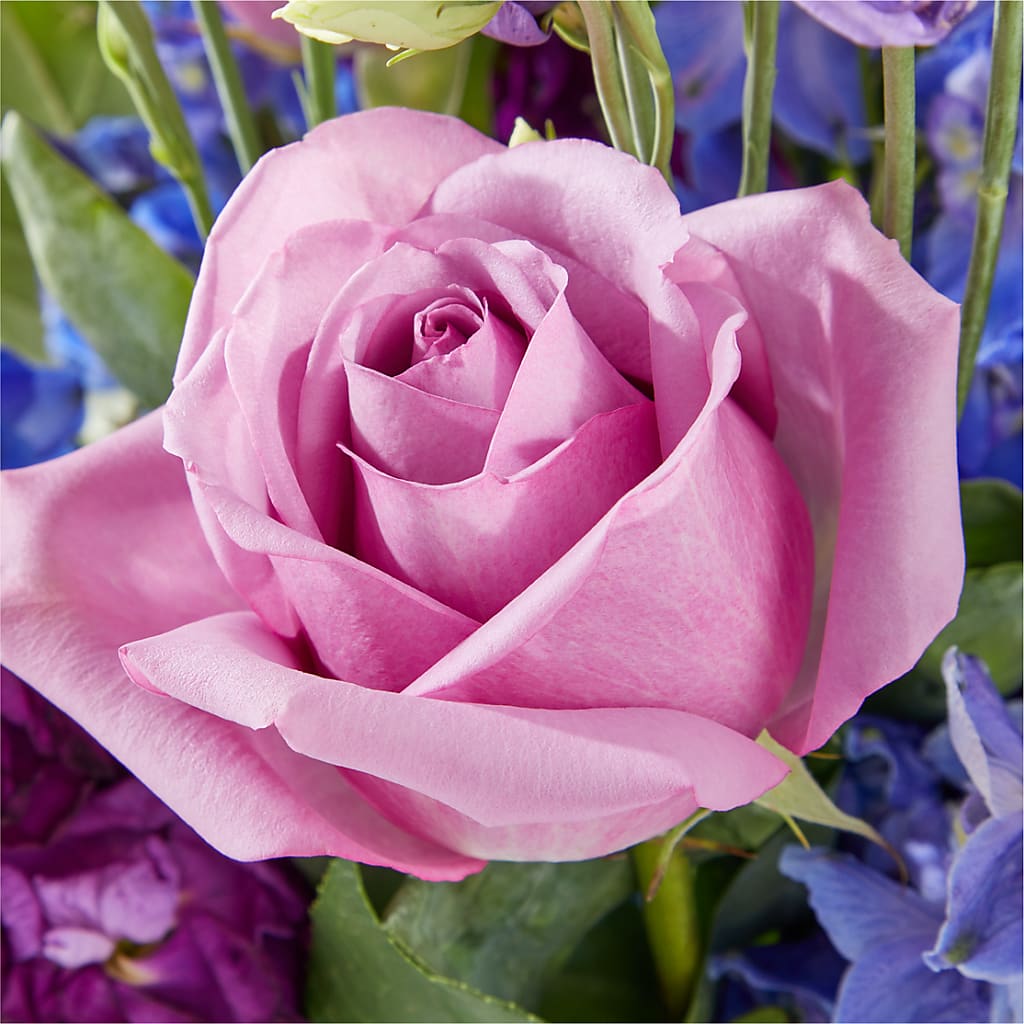 Twilight Glow Bouquet – HYDE PARK FLORIST & GIFTS, Hyde Park NY