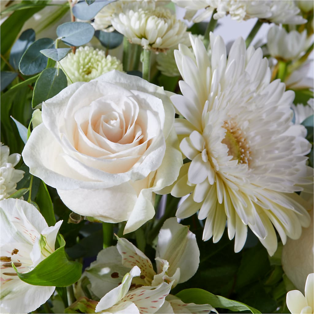 New Beginnings – A Florist Original – HYDE PARK FLORIST & GIFTS, Hyde Park NY