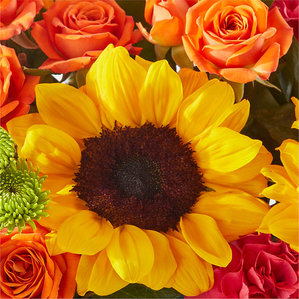 Sun-drenched Blooms Box Bouquet – HYDE PARK FLORIST & GIFTS, Hyde Park NY