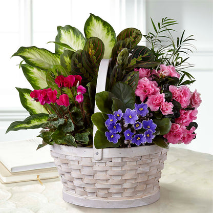 Peaceful Garden Planter – HYDE PARK FLORIST & GIFTS, Hyde Park NY