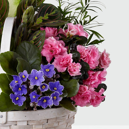 Peaceful Garden Planter – HYDE PARK FLORIST & GIFTS, Hyde Park NY