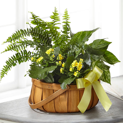 Always Dear Dishgarden – HYDE PARK FLORIST & GIFTS, Hyde Park NY