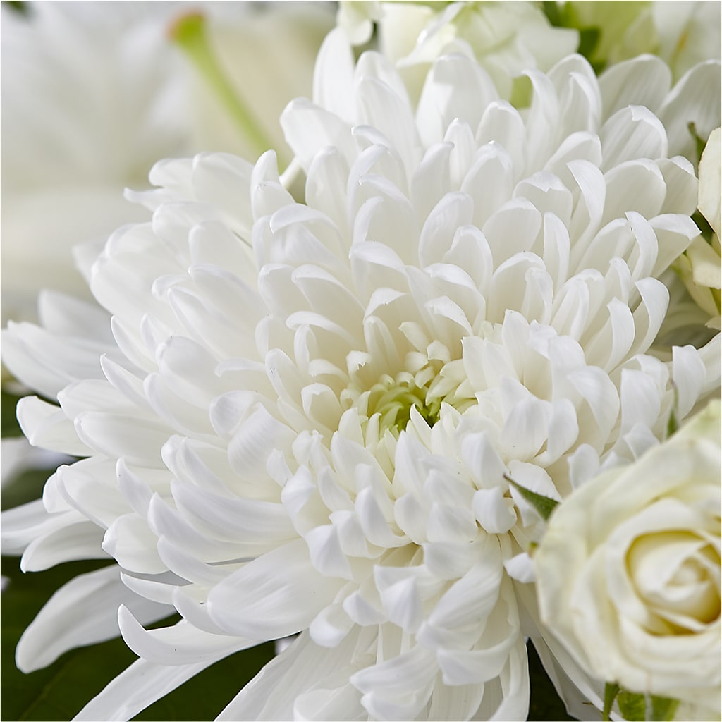 Classic Ivory – A Florist Original – HYDE PARK FLORIST & GIFTS, Hyde Park NY