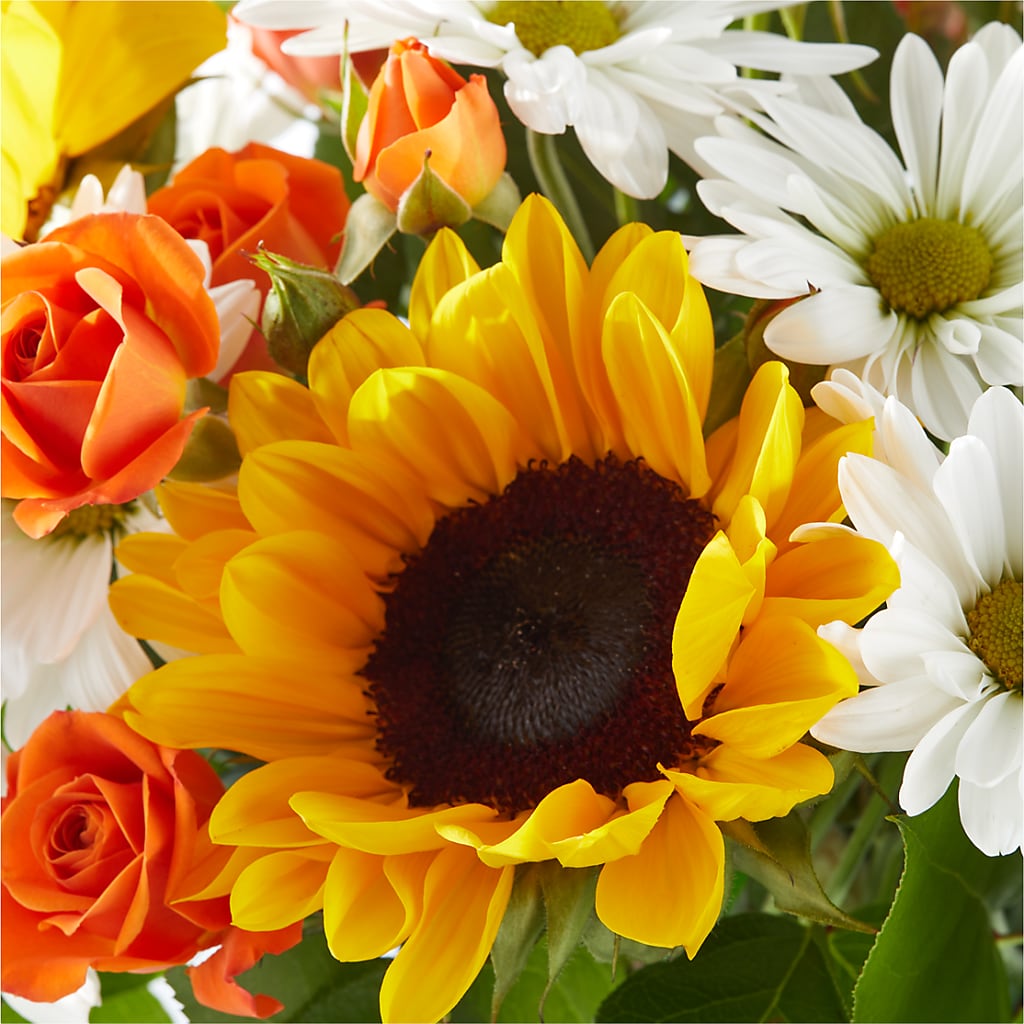 Sun-drenched Blooms Bouquet – HYDE PARK FLORIST & GIFTS, Hyde Park NY