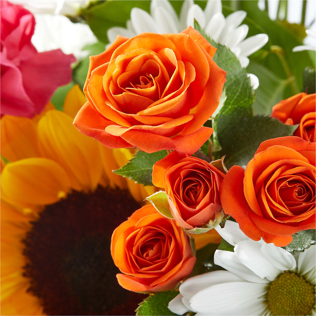 Sun-drenched Blooms Bouquet – HYDE PARK FLORIST & GIFTS, Hyde Park NY