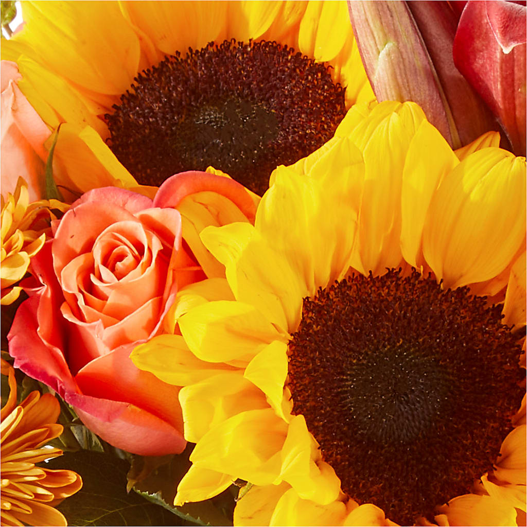Acorn Lane Bouquet – HYDE PARK FLORIST & GIFTS, Hyde Park NY