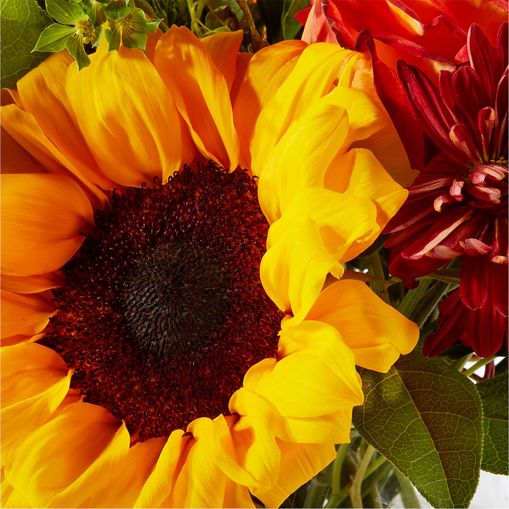 Harvest Festival Bouquet – HYDE PARK FLORIST & GIFTS, Hyde Park NY
