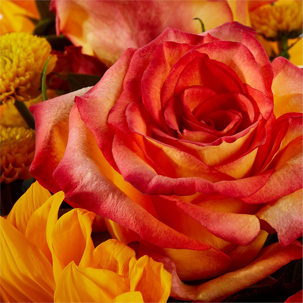 Picnic in the Park Bouquet – HYDE PARK FLORIST & GIFTS, Hyde Park NY