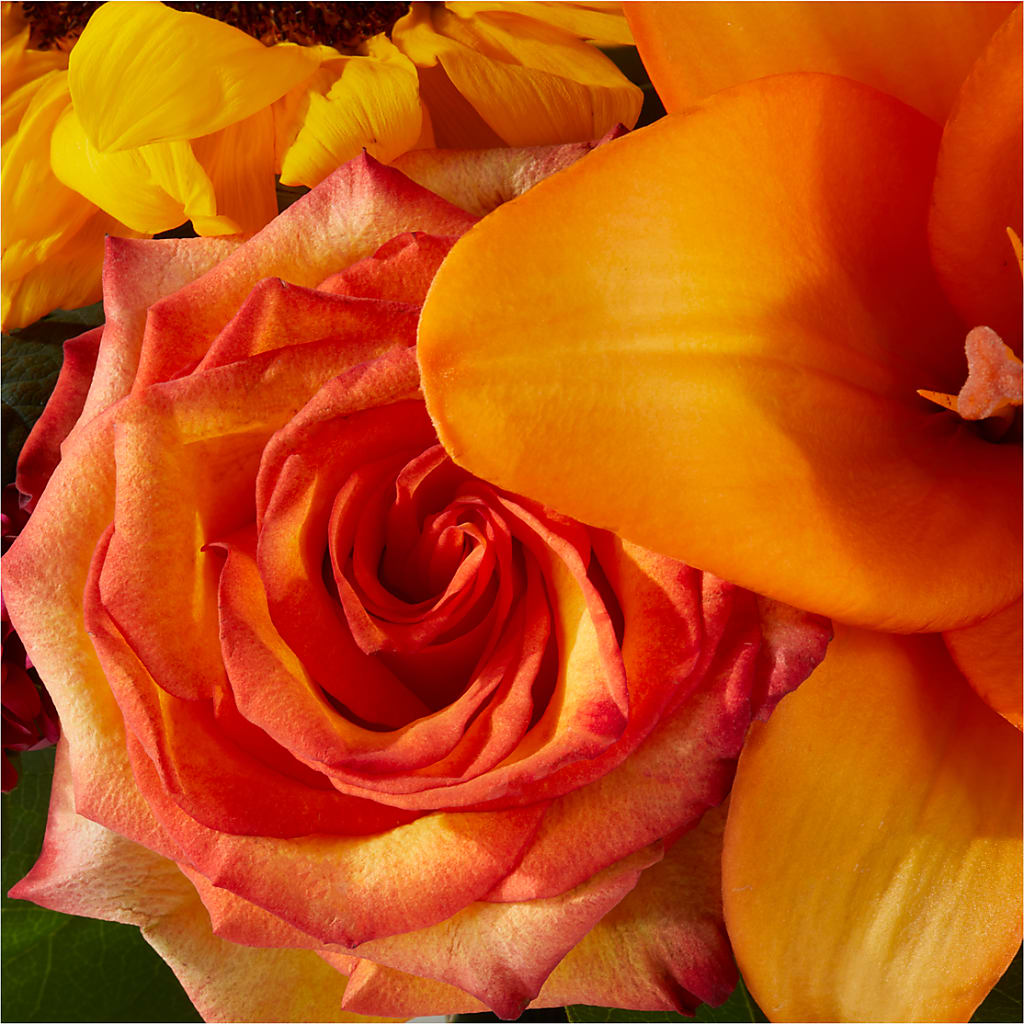 Grateful Centerpiece – HYDE PARK FLORIST & GIFTS, Hyde Park NY