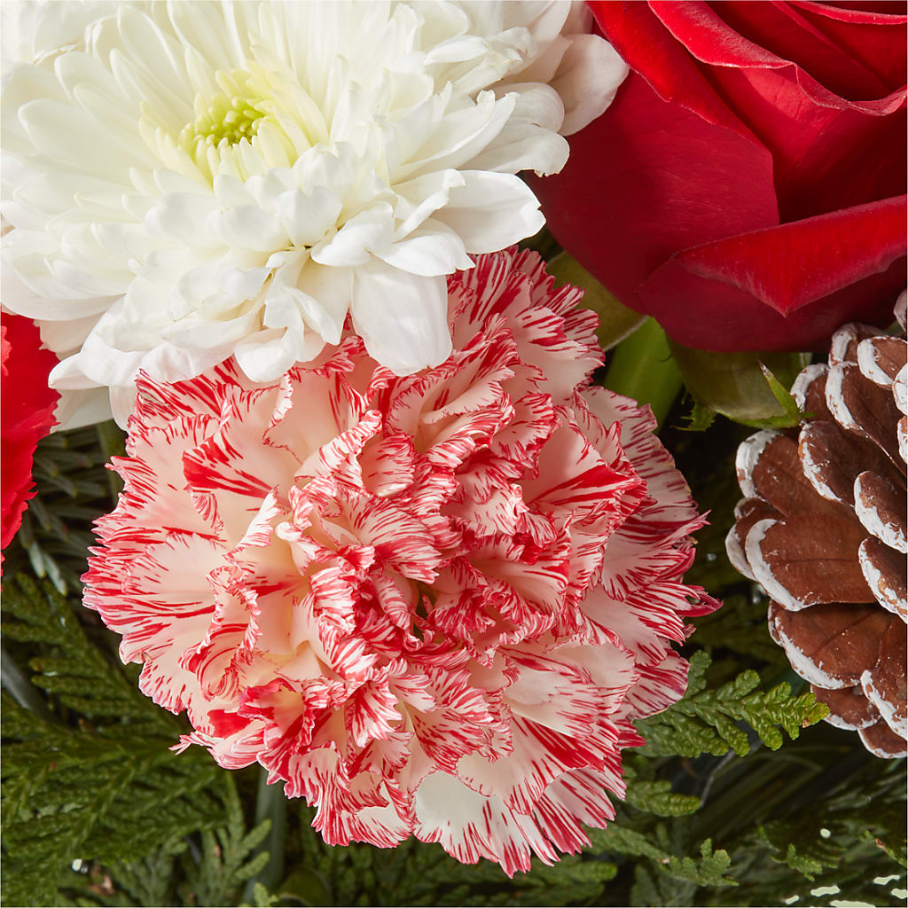 Candy Cane Lane Bouquet – HYDE PARK FLORIST & GIFTS, Hyde Park NY