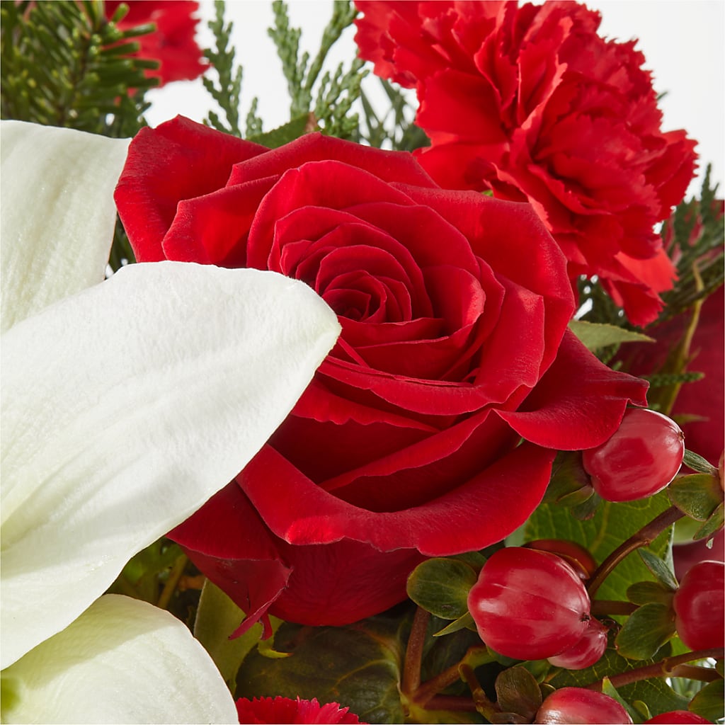 Oh So Jolly Bouquet – HYDE PARK FLORIST & GIFTS, Hyde Park NY