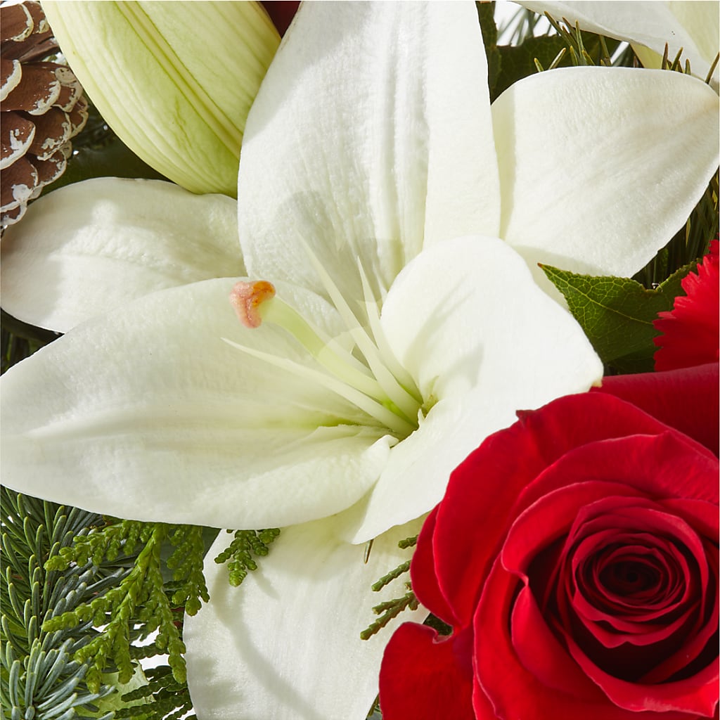 Oh So Jolly Bouquet – HYDE PARK FLORIST & GIFTS, Hyde Park NY