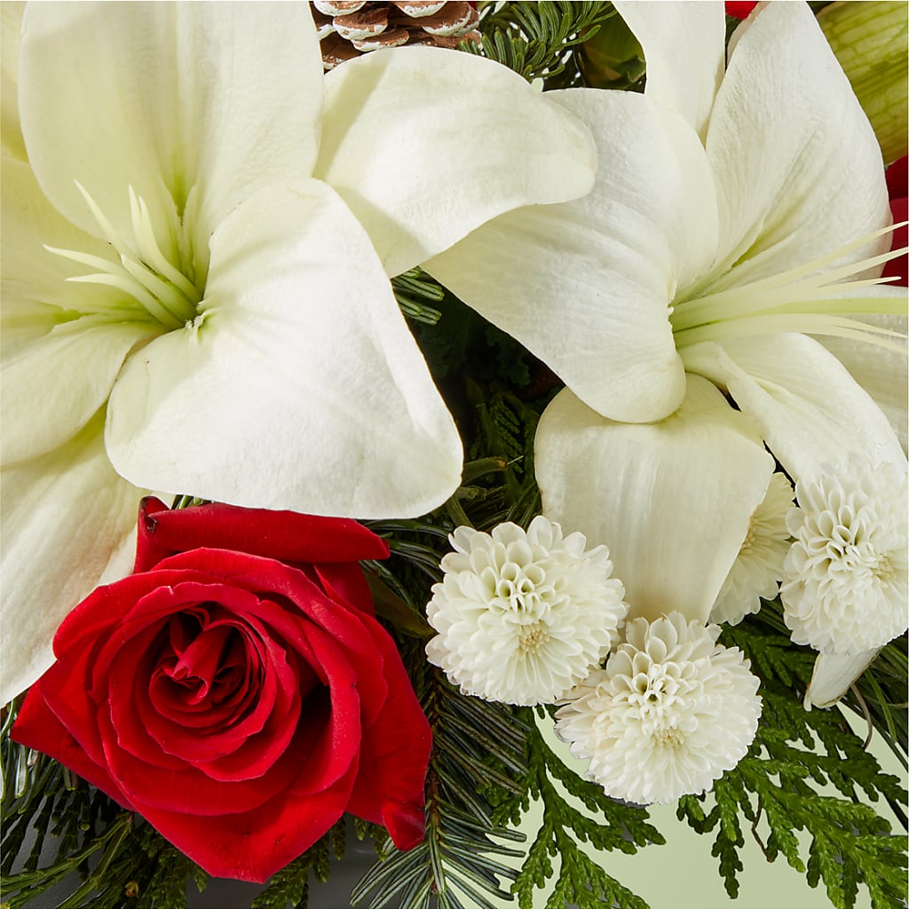 Seasonal Festivities Centerpiece – HYDE PARK FLORIST & GIFTS, Hyde Park NY