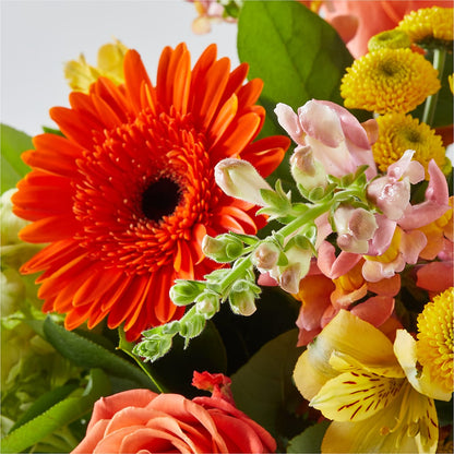 Autumn Sunshine Bouquet – HYDE PARK FLORIST & GIFTS, Hyde Park NY