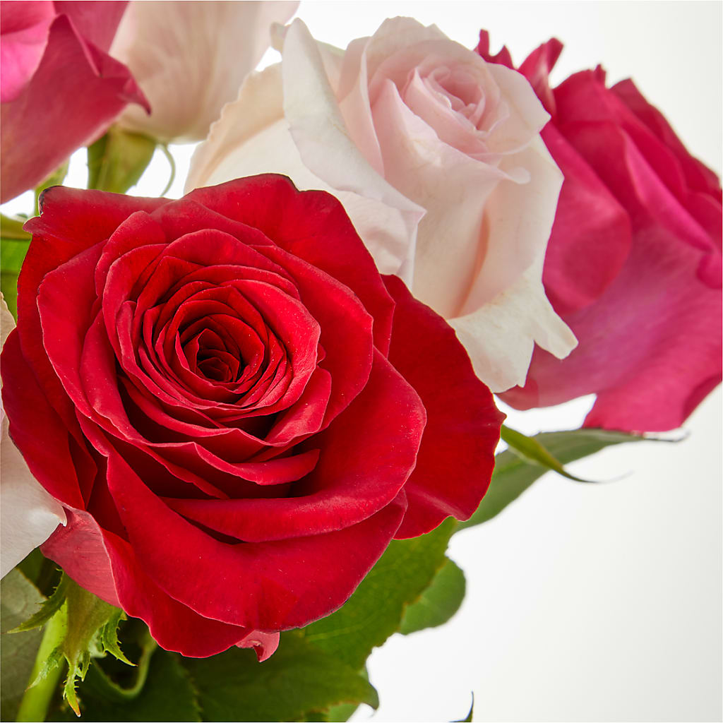 Charming Rose Bouquet – HYDE PARK FLORIST & GIFTS, Hyde Park NY