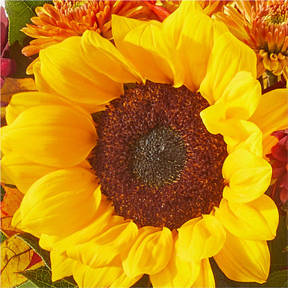 Sunny Side Bouquet – HYDE PARK FLORIST & GIFTS, Hyde Park NY